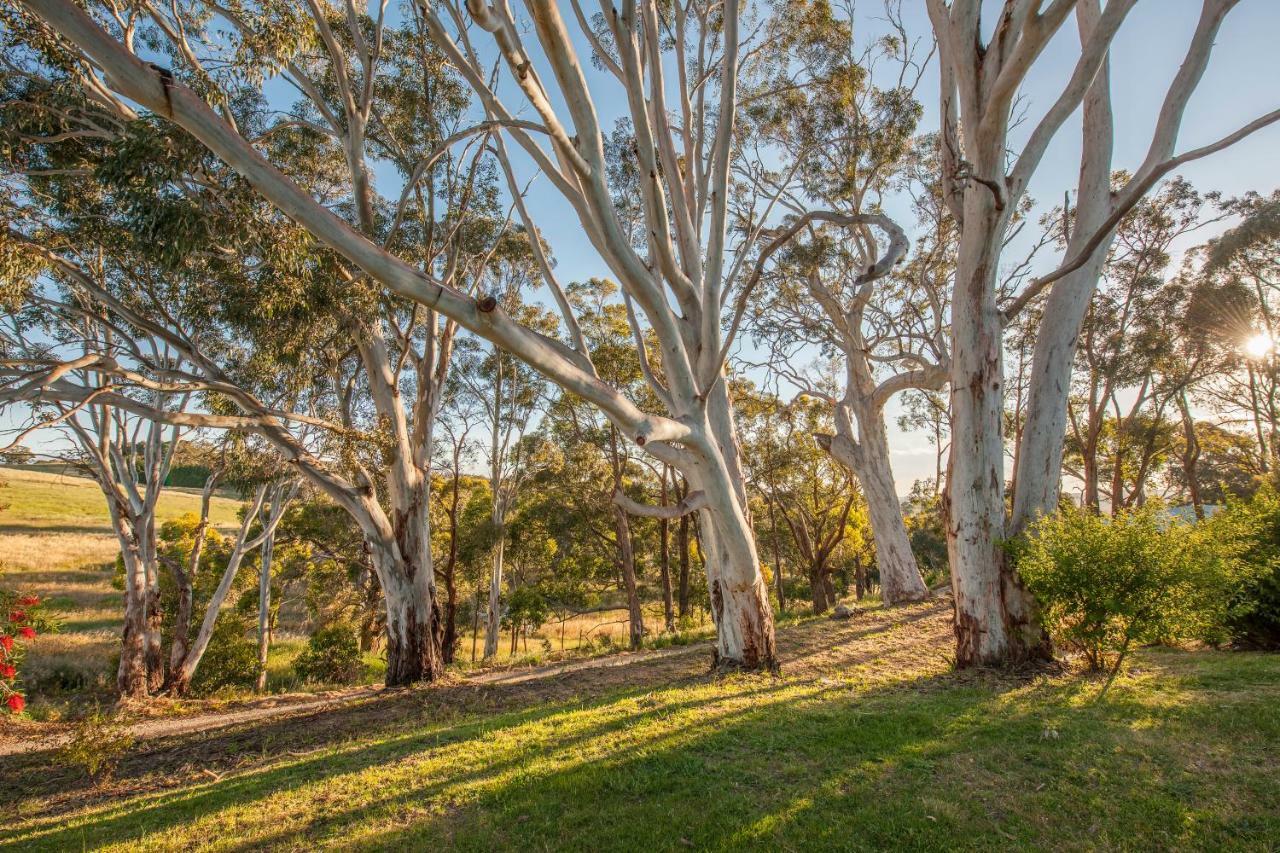 Discovery Parks - Hahndorf Esterno foto